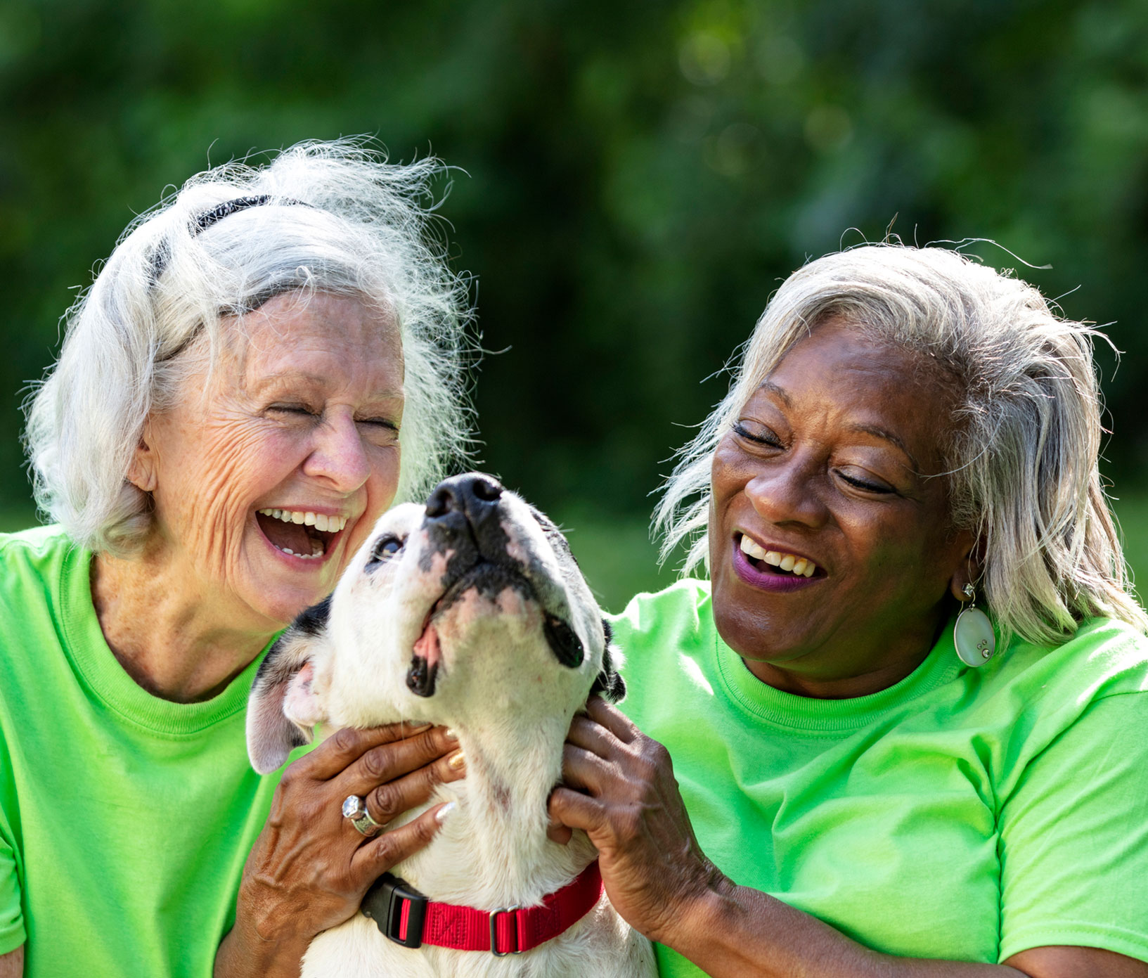 Two multiracial senior women volunteering at an animal shelter. They are sitting on the grass with a mixed-breed dog, petting it, smiling and laughing. The African-American woman is in her 60s and her friend is in her 70s.
